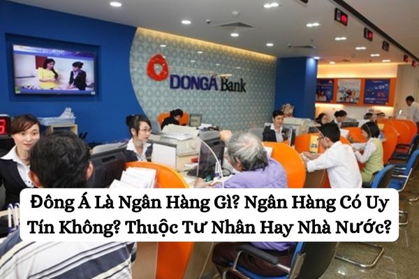 Đông Á Là Ngân Hàng Gì? Ngân Hàng Có Uy Tín Không? Thuộc Tư Nhân Hay Nhà Nước?