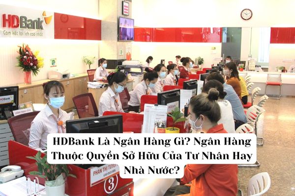 HDBank Là Ngân Hàng Gì? Ngân Hàng Thuộc Quyền Sở Hữu Của Tư Nhân Hay Nhà Nước?