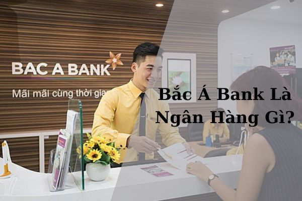 Bắc Á Bank Là Ngân Hàng Gì? Của Ai? Có Tốt Và Uy Tín Không?