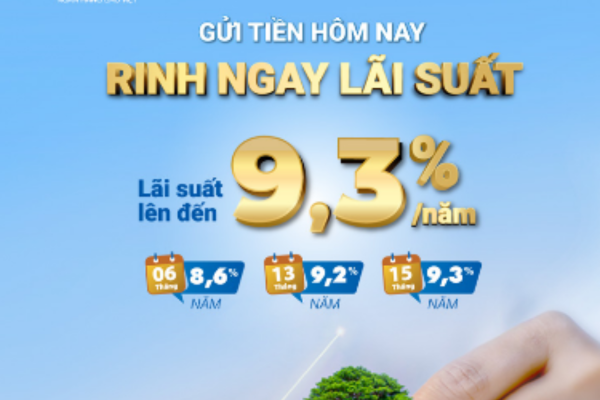 Cach tinh lai suat gui tiet kiem baovietbank