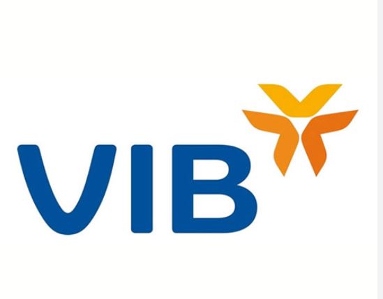 logo vib