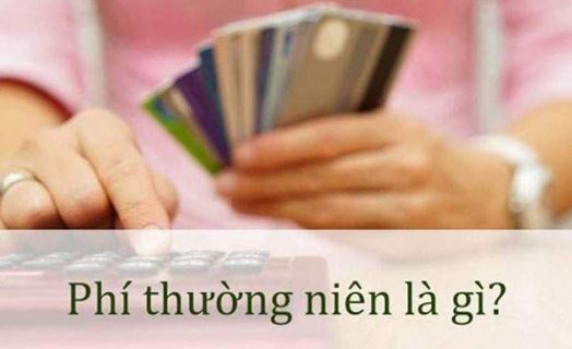 phi thuong nien ngan hang bidv