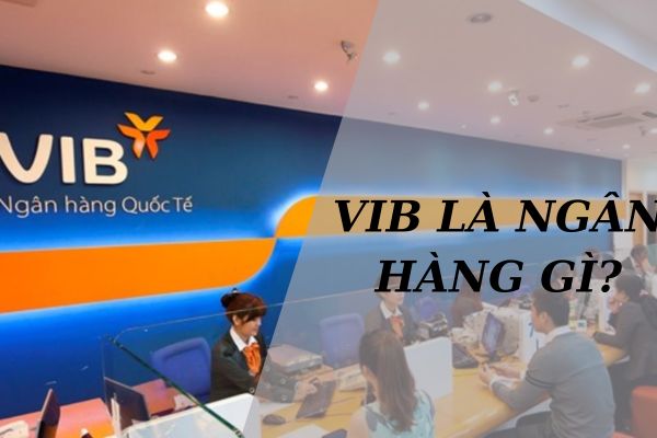 VIB Là Ngân Hàng Gì? Của Ai? Thuộc Nhà Nước Hay Tư Nhân