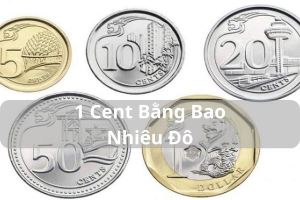 Chuyển Đổi 1 Cent Bằng Bao Nhiêu Đô Hôm Nay 21/11/2024