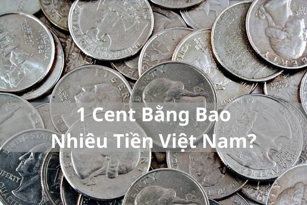 1 Cent Bằng Bao Nhiêu Tiền Việt Nam? 1 Cent = ? VND 21/11/2024