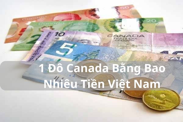 Quy Đổi 1 Đô Canada Bằng Bao Nhiêu Tiền Việt Nam Hôm Nay?