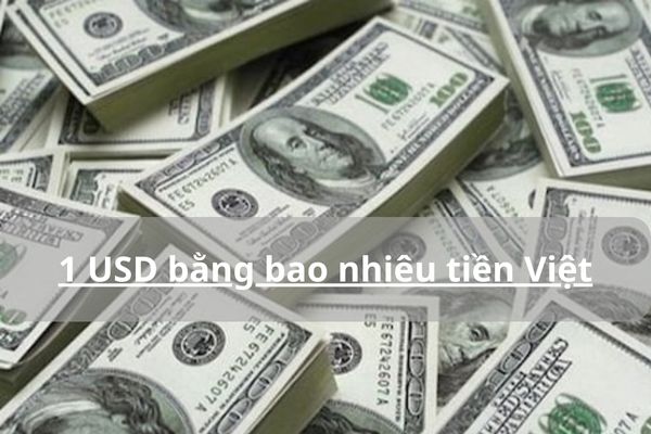 Cập Nhật Tỷ Gía 1 USD Bằng Bao Nhiêu Tiền Việt Hôm Nay 21/11/2024