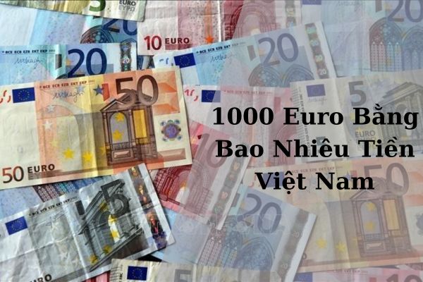 Quy Đổi Giá 1000 Euro Bằng Bao Nhiêu Tiền Việt Nam Hôm Nay 22/11/2024