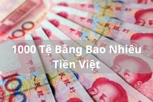 Quy Đổi Tỷ Giá 1000 Tệ Bằng Bao Nhiêu Tiền Việt Hôm Nay?