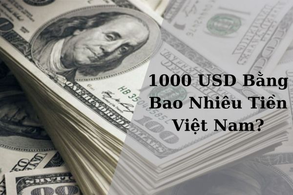 Quy Đổi: 1000 USD Bằng Bao Nhiêu Tiền Việt Nam Hôm Nay 21/11/2024