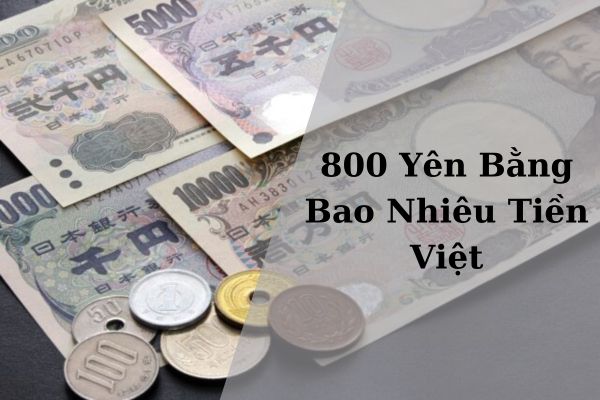 Quy Đổi 800 Yên Bằng Bao Nhiêu Tiền Việt Tỷ Giá Hôm Nay 21/11/2024