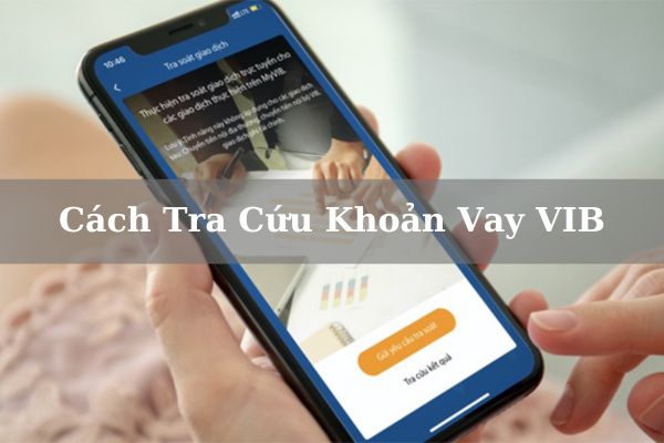 Hướng Dẫn Cách Tra Cứu Khoản Vay VIB Online Nhanh Chóng 2023