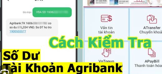 tra cuu so du tai khoan agribank qua internet banking