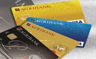 the visa agribank