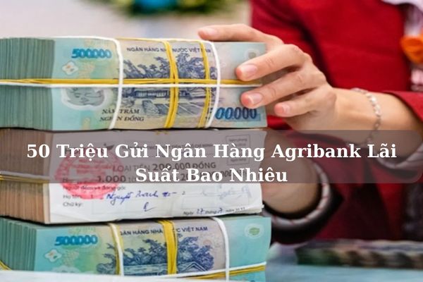 50 Triệu Gửi Ngân Hàng Agribank Lãi Suất Bao Nhiêu? | Kinhteluatvcu