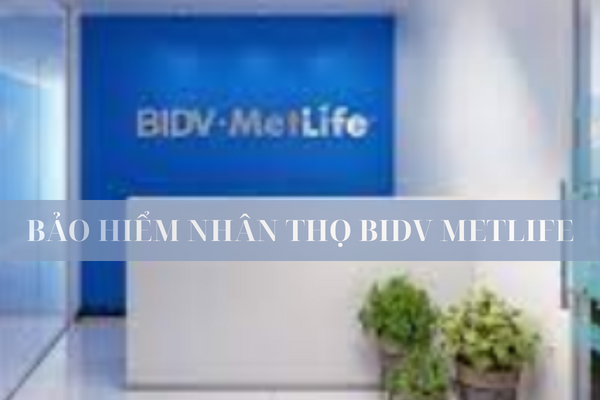 Các Gói Bảo Hiểm Nhân Thọ BIDV Metlife Mới Nhất 2023