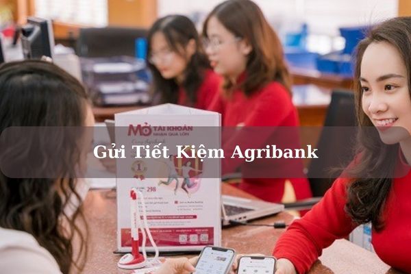 Gửi Tiết Kiệm Agribank 2023: Điều Kiện, Lãi Suất, Kỳ Hạn