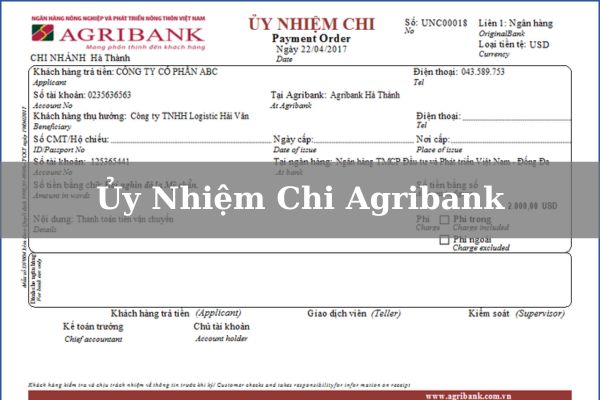 Tải Và Cách Điền Mẫu Ủy Nhiệm Chi Agribank Chi Tiết 2023