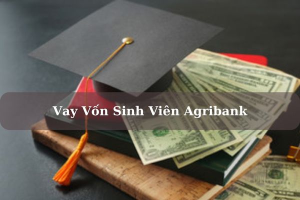 Vay Vốn Sinh Viên Agribank 2023: Điều Kiện, Kỳ Hạn Và Lãi Suất