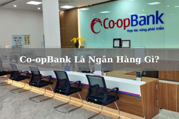 Co-opBank Là Ngân Hàng Gì? Ngân Hàng Nhà Nước Hay Tư Nhân?