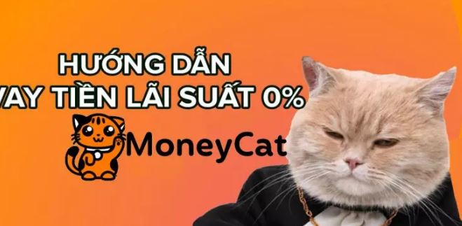 moneycat la gi