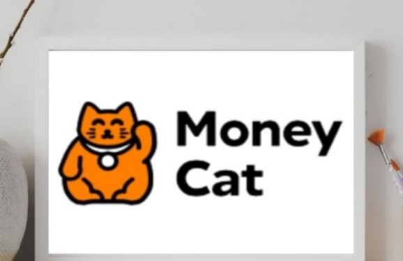 uu nhuoc diem khi vay moneycat