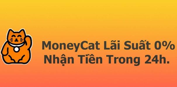 vay moneycat