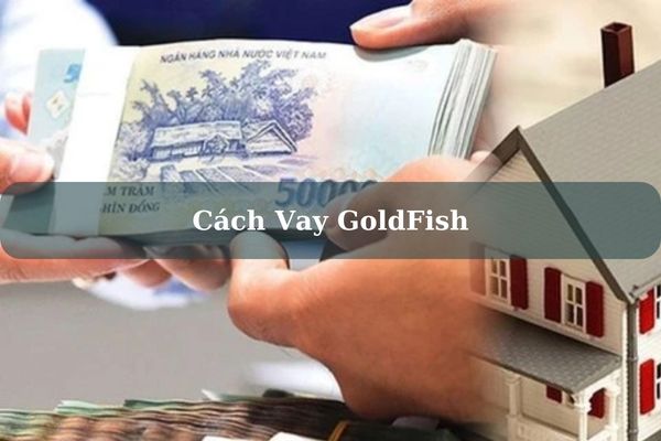 App Vay GoldFish Là Gì? Cách Vay GoldFish Nhanh Lãi 0% 2023