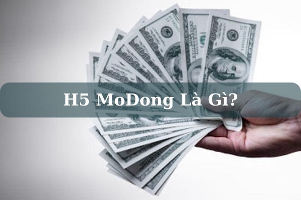 H5 MoDong Là Gì? Có Lừa Đảo Khách Hàng Không? – Cách Vay Tiền Nhanh