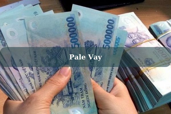 Pale Vay – Cách Vay Nhanh Lãi 0% Giải Ngân Trong Ngày