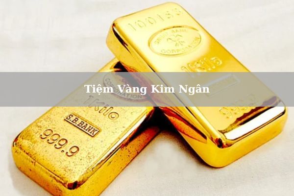 Giá Tiệm Vàng Kim Ngân Tân Phú Hôm Nay 21/11/2024 Bao Nhiêu?