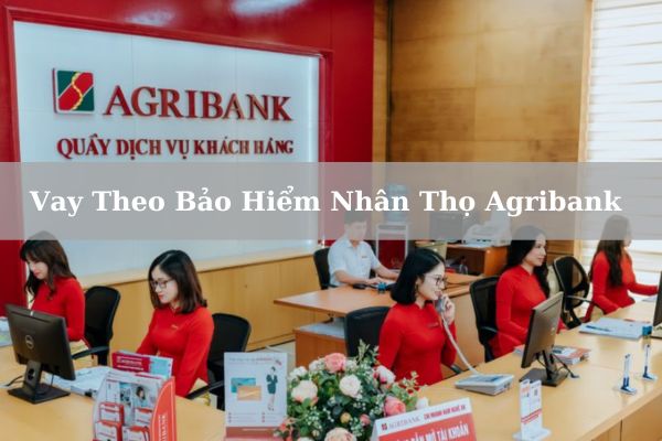 Vay Theo Bảo Hiểm Nhân Thọ Agribank 2023: Điều Kiện, Thủ Tục Và Lãi Suất Vay