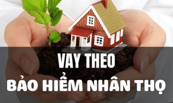 vay theo bao hiem nhan tho ngan hang vietcombank