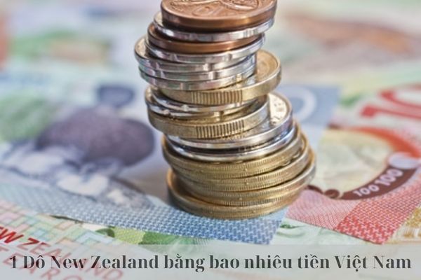 Tỷ Giá 1 Đô New Zealand Bằng Bao Nhiêu Tiền Việt Nam Mới Nhất Hôm nay 