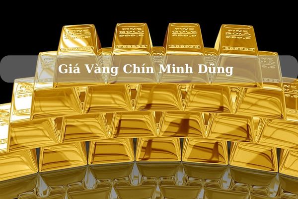 Giá Vàng Chín Minh Dũng Hôm Nay 23/11/2024 Bao Nhiêu 1 Chỉ? 1 Lượng?