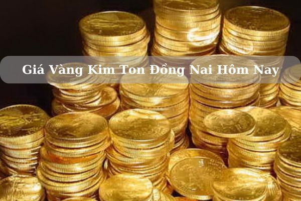 Cập Nhật Giá Vàng Kim Ton Đồng Nai Hôm Nay 22/11/2024 Bao Nhiêu