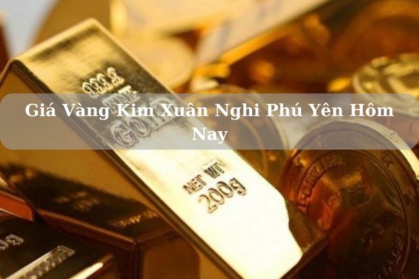 Cập Nhật Giá Vàng Kim Xuân Nghi Phú Yên Hôm Nay 22/11/2024 Bao Nhiêu?