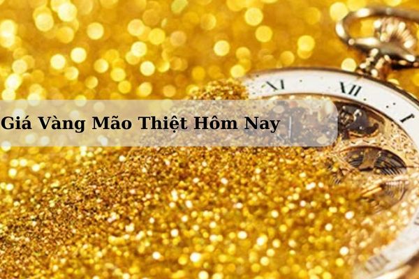 Cập Nhật Giá Vàng Mão Thiệt Hôm Nay 23/11/2024 Bao Nhiêu 1 Chỉ? 1 Lượng?