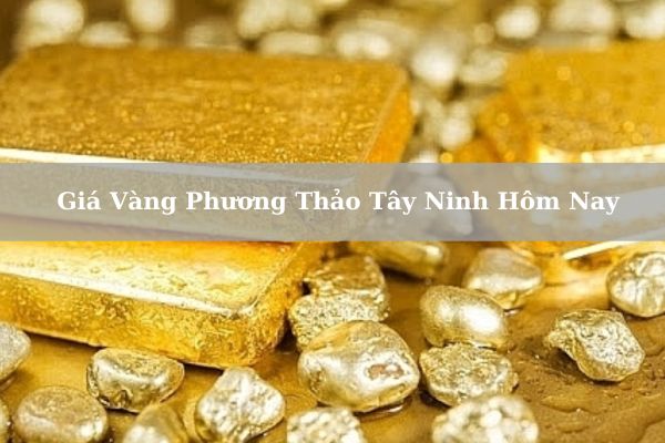 Giá Vàng Phương Thảo Tây Ninh Hôm Nay 22/11/2024 Bao Nhiêu 1 Chỉ?