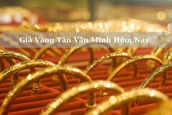 Cập Nhật Giá Vàng Tân Văn Minh Hôm Nay 22/11/2024 Bao Nhiêu?