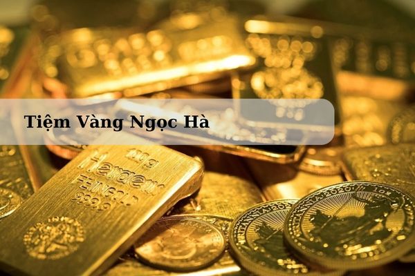 Tiệm Vàng Ngọc Hà Nằm Ở Đâu? Giá Vàng Ngọc Hà Quảng Bình Hôm Nay?