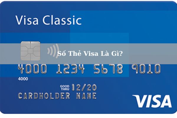 Số Thẻ Visa Là Gì? Nằm Ở Đâu? Kiểm Tra Số Thẻ Visa Hợp Lệ Như Thế Nào?