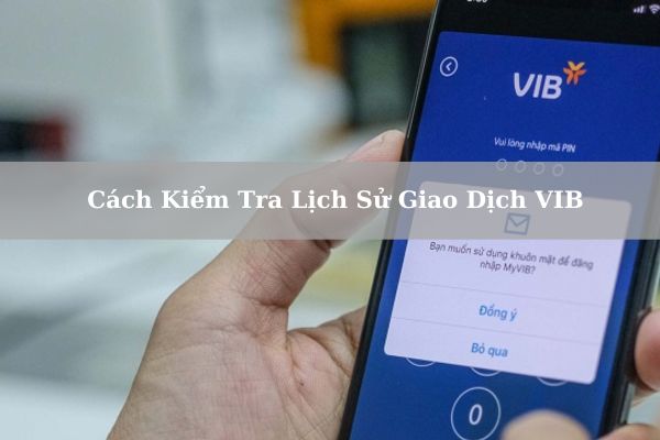 Cách Kiểm Tra Lịch Sử Giao Dịch VIB Nhanh Chi Tiết